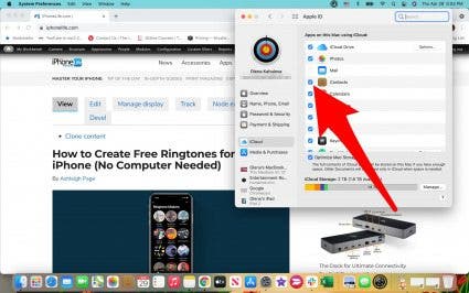 Under iCloud, make sure that the box next to Contacts is checked.
