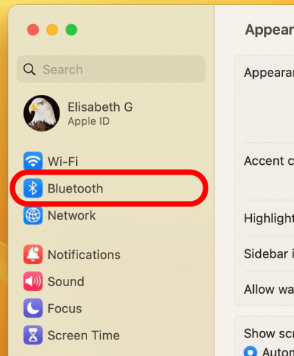 Click on Bluetooth in the System Preferences menu.