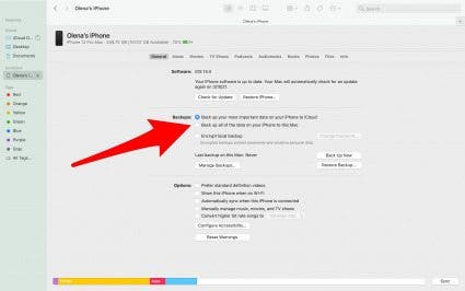 Click the circle that says Back up all of the data on your iPhone to this Mac