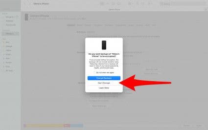You can tap Don't Encrypt if you don't want to set a password for the backup.