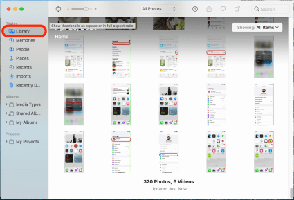 View iCloud photos