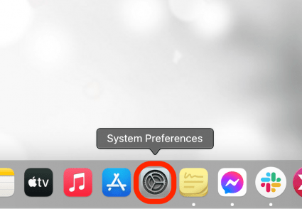 Open System Preferences on your Mac