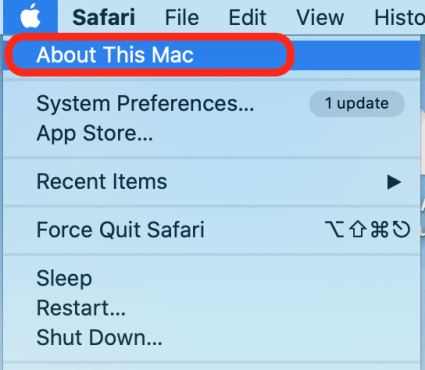Click the Apple menu and select About this Mac before running the test.