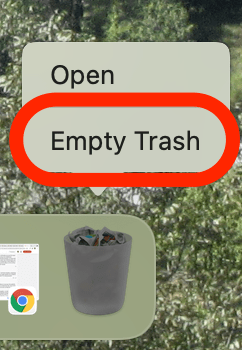 Empty Trash