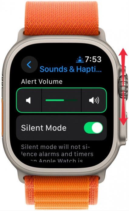 volume apple watch