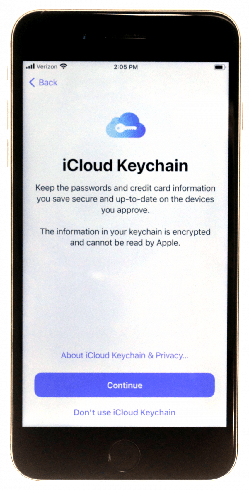 Apple's password manager: iCloud Keychain