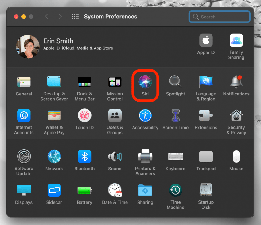 install siri on windows 10 install siri on windows 10