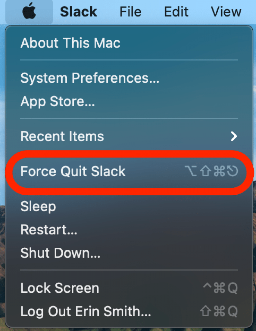 Click on force quit to quit the application causing the wheel of death