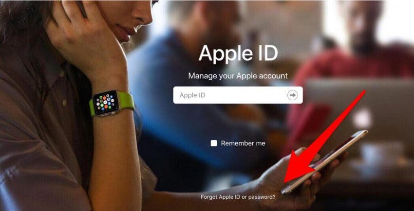 iforgot apple id