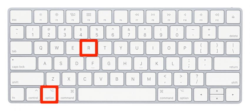 How to Type 8 Top Special Characters on a Mac Keyboard