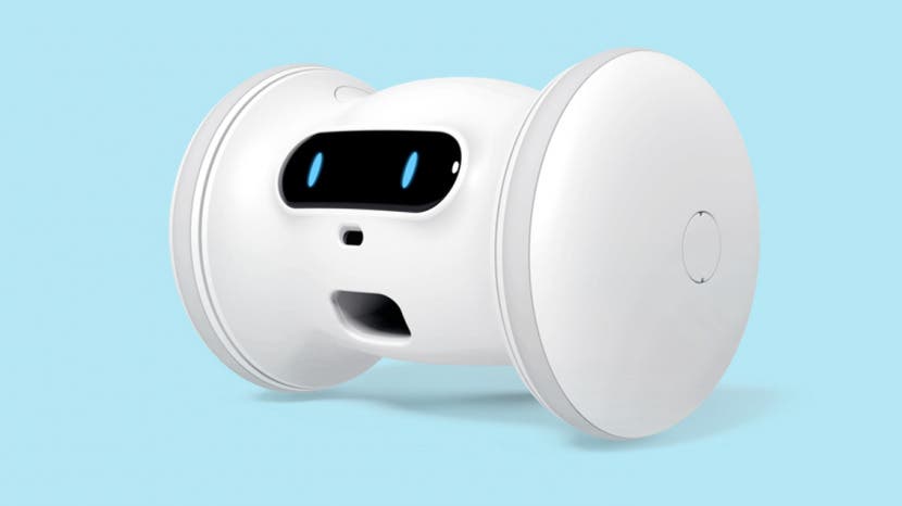 Review: Pet Fitness Robot from Varram