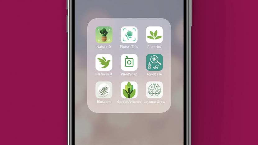 7 Best Plant Identification Apps For