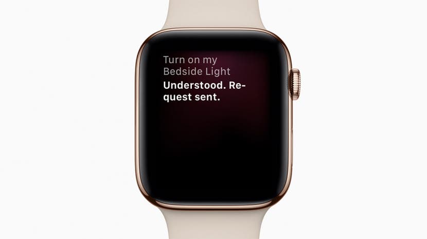 How to Use Apple Watch Raise to Speak for Siri (2023)