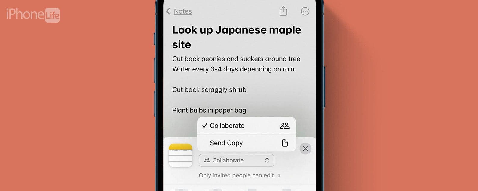 If you can't share or collaborate in the Notes app on your iPhone or iPad -  Apple Support