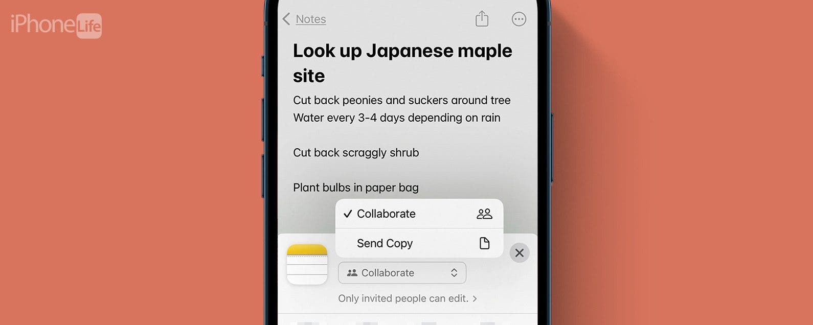 The app Notes not searching - Apple Community