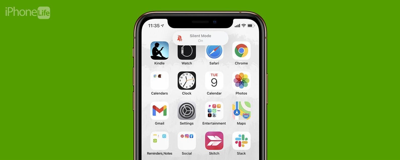 Why Is My iPhone Not Ringing? 4 Things to Try When Your iPhone Does Not Ring
