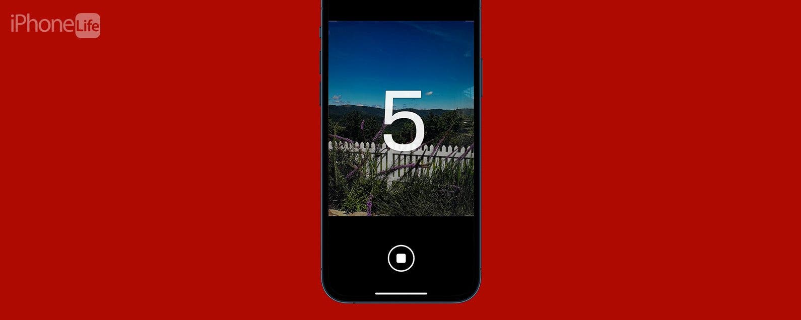 How to Set an iPhone Camera Timer—the Easy Way!