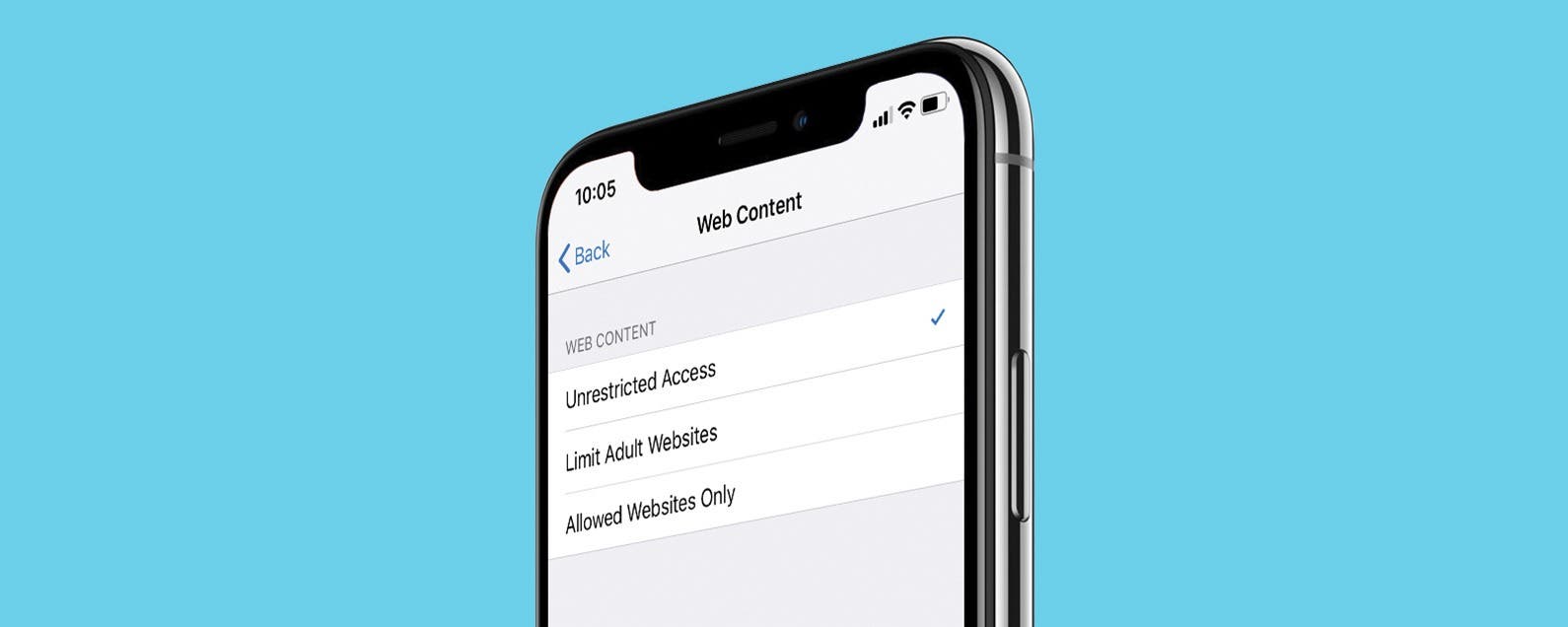 ios safari block website