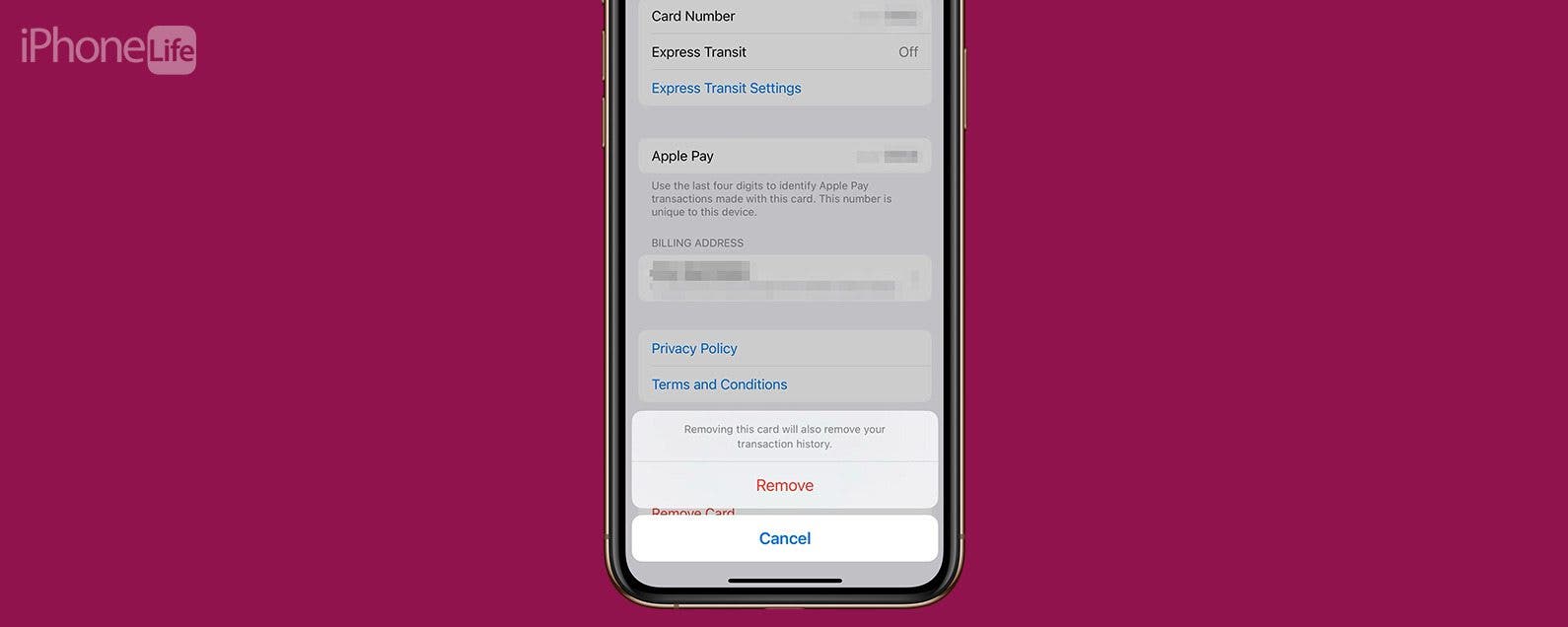 Can You Delete Apple Pay Transactions? Here's What You Can Do
