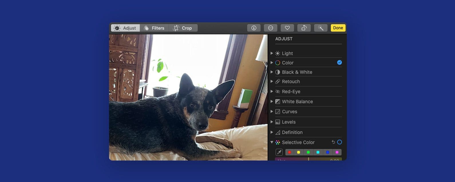 Copy and paste edits on Mac