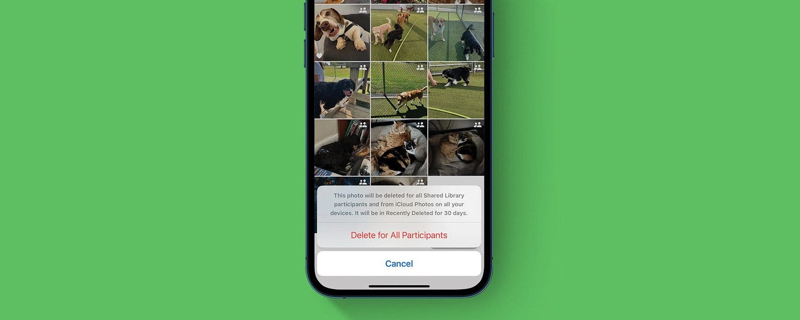 iOS 16 Shared Photo Libraries: What Happens When You Delete a Photo?