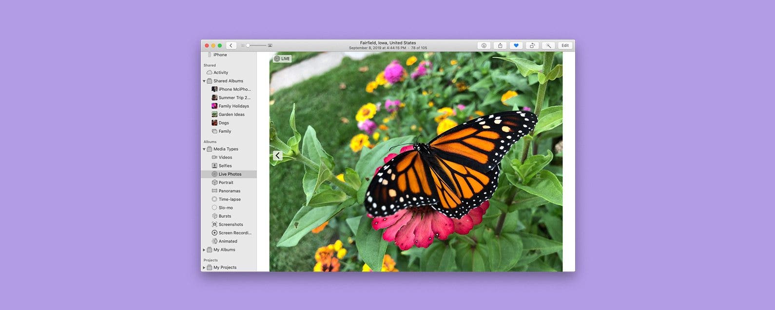 How to Duplicate a Photo or Video on Mac