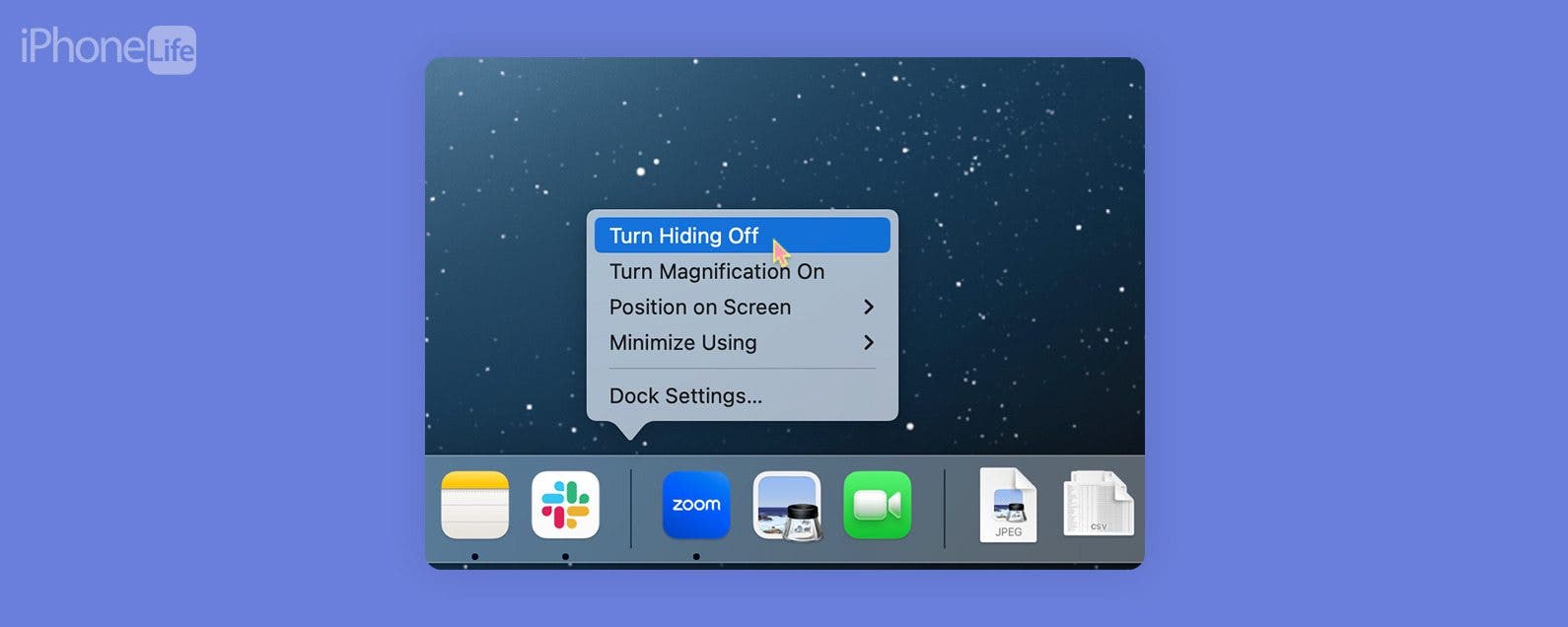 How to Make Dock Disappear on Mac (2023)