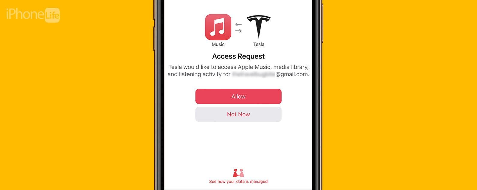 Tesla Apple Music Update: How to Sign In to Your Apple Music Account