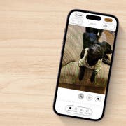 How to Draw on Photos on iPhone & iPad