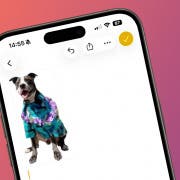 How to Lift the Subject of a Photo without Saving It
