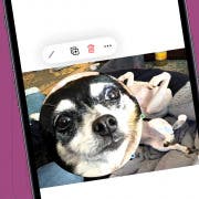 How To Magnify Part of an Image on iPhone