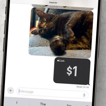 Apple Cash: How to Send Money through Apple Pay in Messages on iPhone