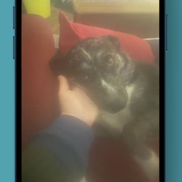 How to Unblur an Image on an iPhone - Fix Blurry Photos Fast! (iOS 17)