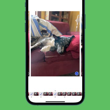 How to Take, View, & Save Burst Photos on iPhone