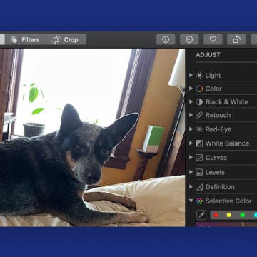 Copy and paste edits on Mac