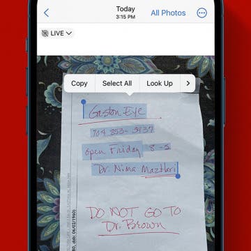 How to Copy Text from a Picture on iPhone Quickly