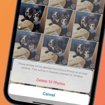 How to Delete Photos from iPhone in Bulk & Individually