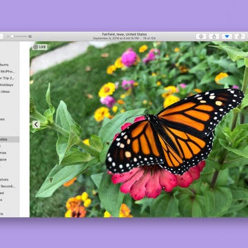 How to Duplicate a Photo or Video on Mac
