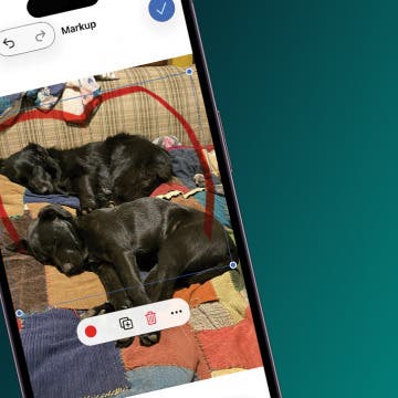 How to Remove Markup from a Photo on an iPhone & iPad