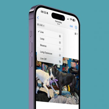 How to Make a GIF or Video from a Live Photo on iPhone
