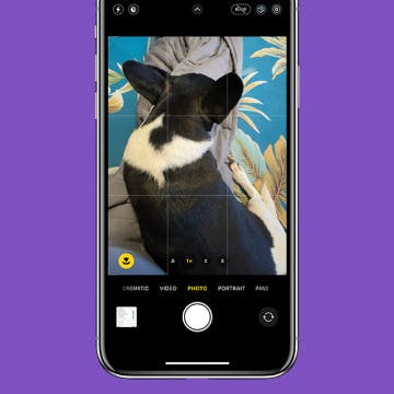 Add a Grid to Your iPhone Camera for Better Photos (iOS 17)