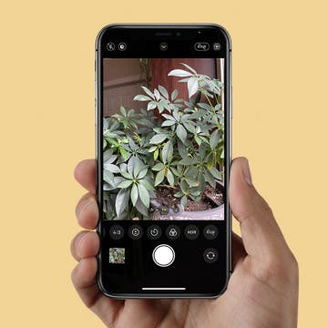 What Is HDR & How to Use It on Your iPhone Camera