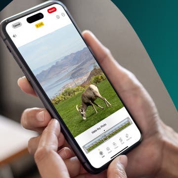 How to Select a Frame from a Live Photo