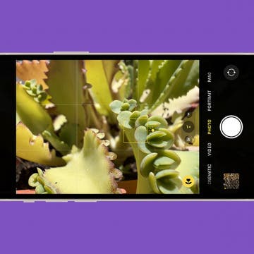 iPhone 13 Macro Photography Guide & Macro Settings