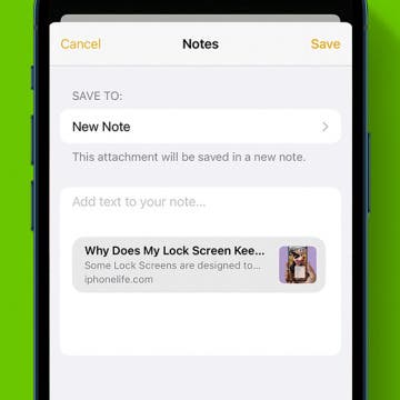 How to Share a Website to Notes (iOS 17)