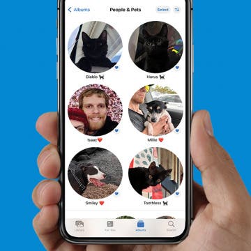 How to Tag Cats & Dogs in the iPhone Photos App (iOS 17)