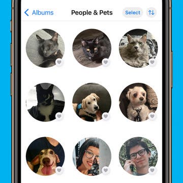 Fixed: People Album Won’t Recognize Pictures of Pets (iOS 17)