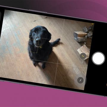 iPhone Camera Blurry? How to Fix iPhone Camera Quality