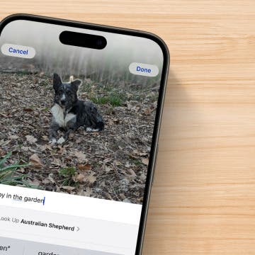 How to Add a Caption to a Photo on iPhone & iPad
