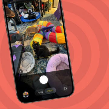 How to Take Photos with Your iPhone Camera